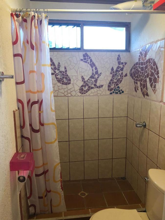 מלון Piedades Owl House מראה חיצוני תמונה