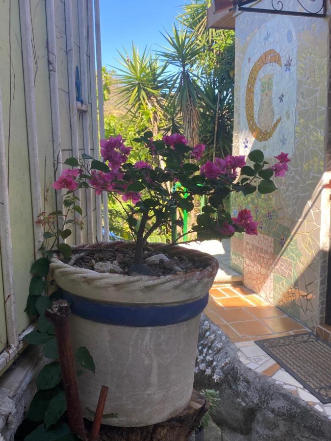 מלון Piedades Owl House מראה חיצוני תמונה