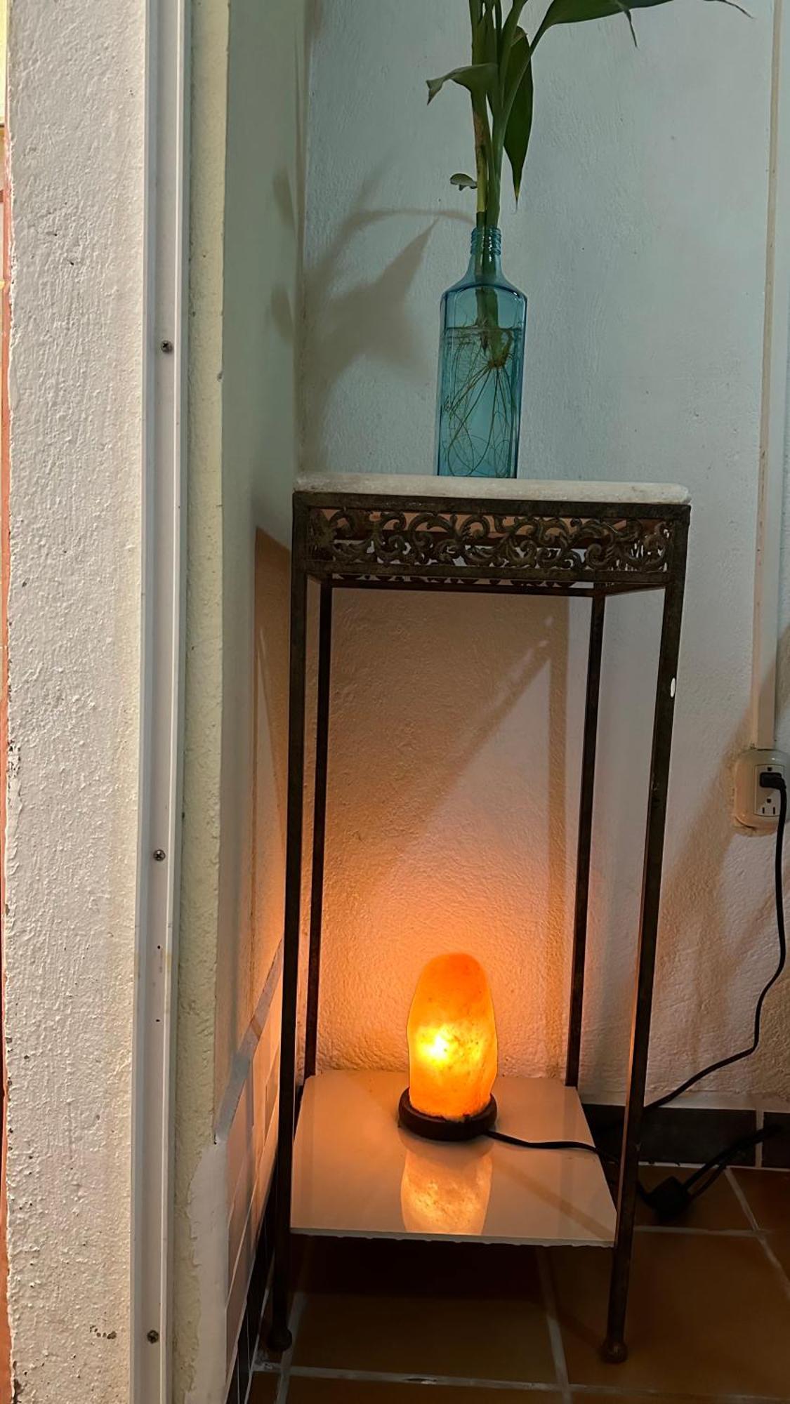 מלון Piedades Owl House מראה חיצוני תמונה